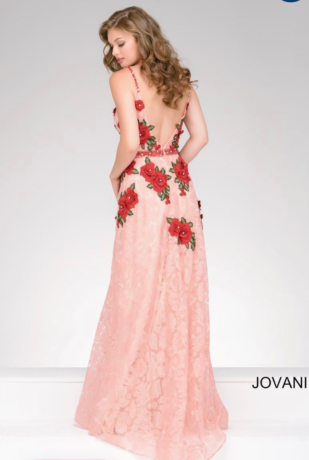 Jovani Size 0 Bridesmaid Plunge Lace Multicolor Floor Length Maxi on Queenly