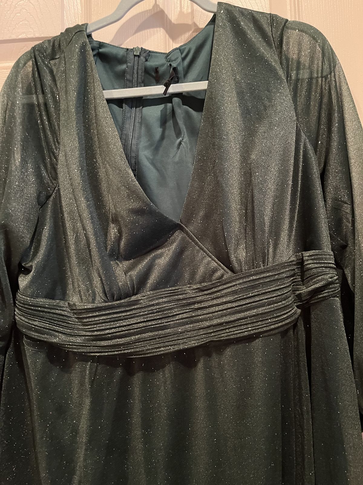 Plus Size 26 Long Sleeve Sheer Green Floor Length Maxi on Queenly