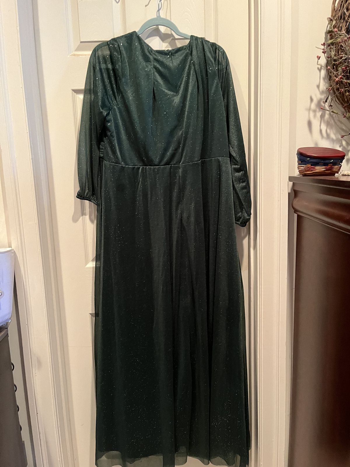 Plus Size 26 Long Sleeve Sheer Green Floor Length Maxi on Queenly