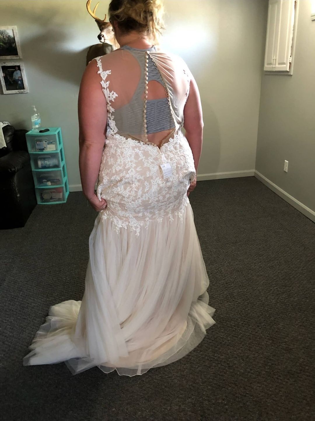 David's Bridal Plus Size 22 Nude Mermaid Dress on Queenly