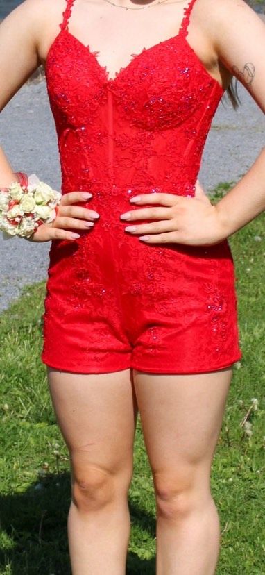 Ashley Lauren Size 0 Prom Plunge Lace Red Floor Length Maxi on Queenly