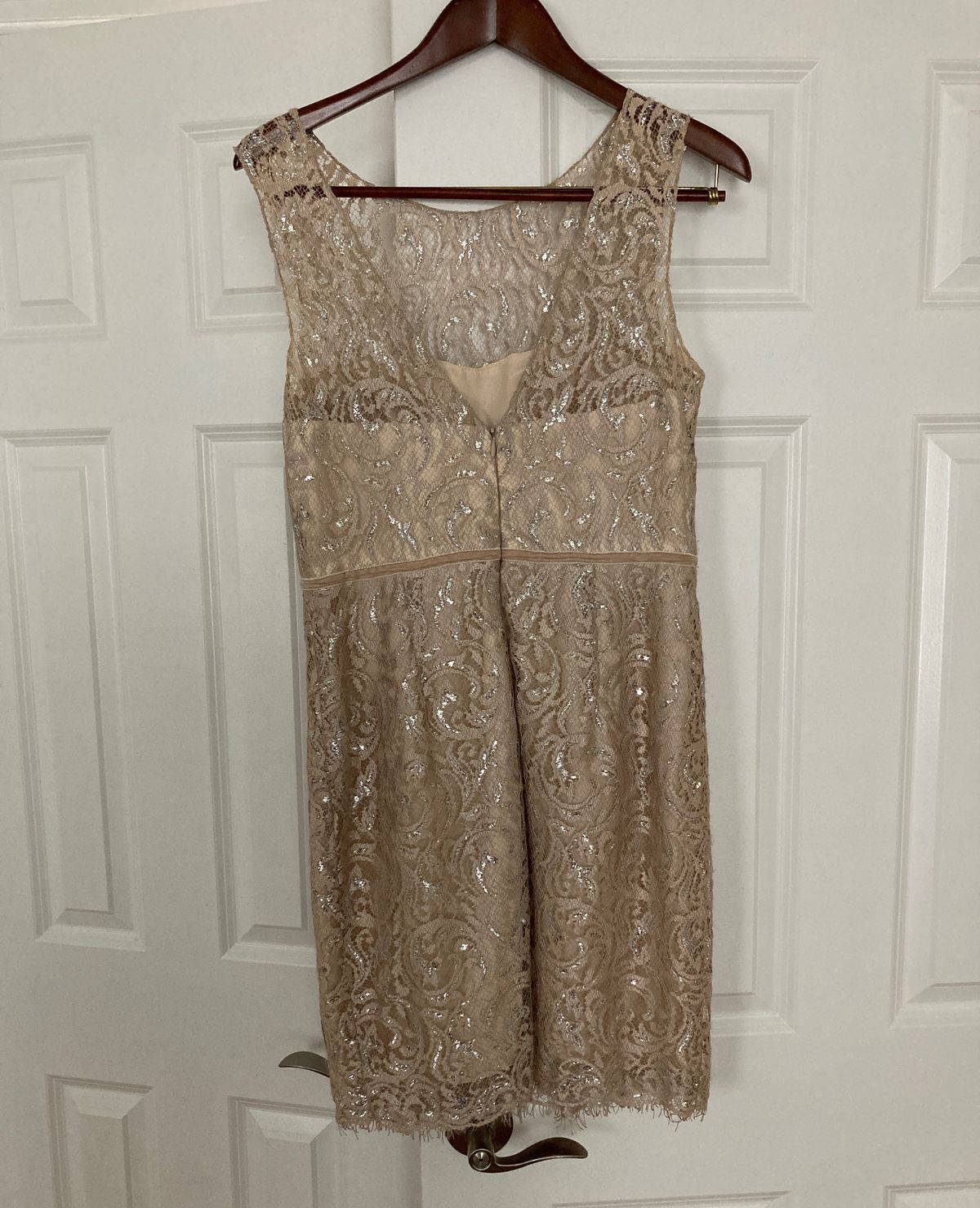 Jenny Yoo Size 10 Bridesmaid Cap Sleeve Nude A-line Dress on Queenly