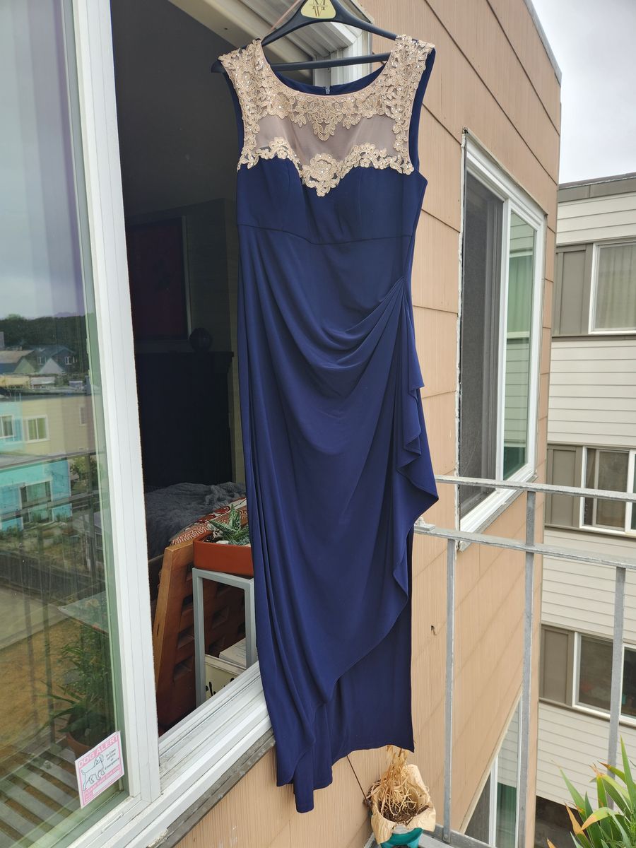 alex evenings  Plus Size 16 Wedding Guest Lace Blue A-line Dress on Queenly