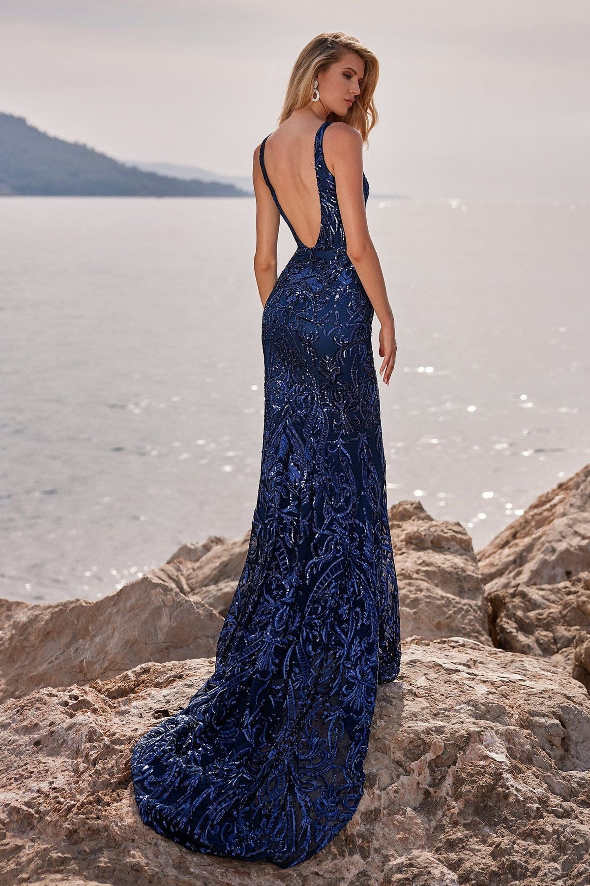 Style Salma Alamour The Label Size S Prom Plunge Sheer Navy Blue Mermaid Dress on Queenly
