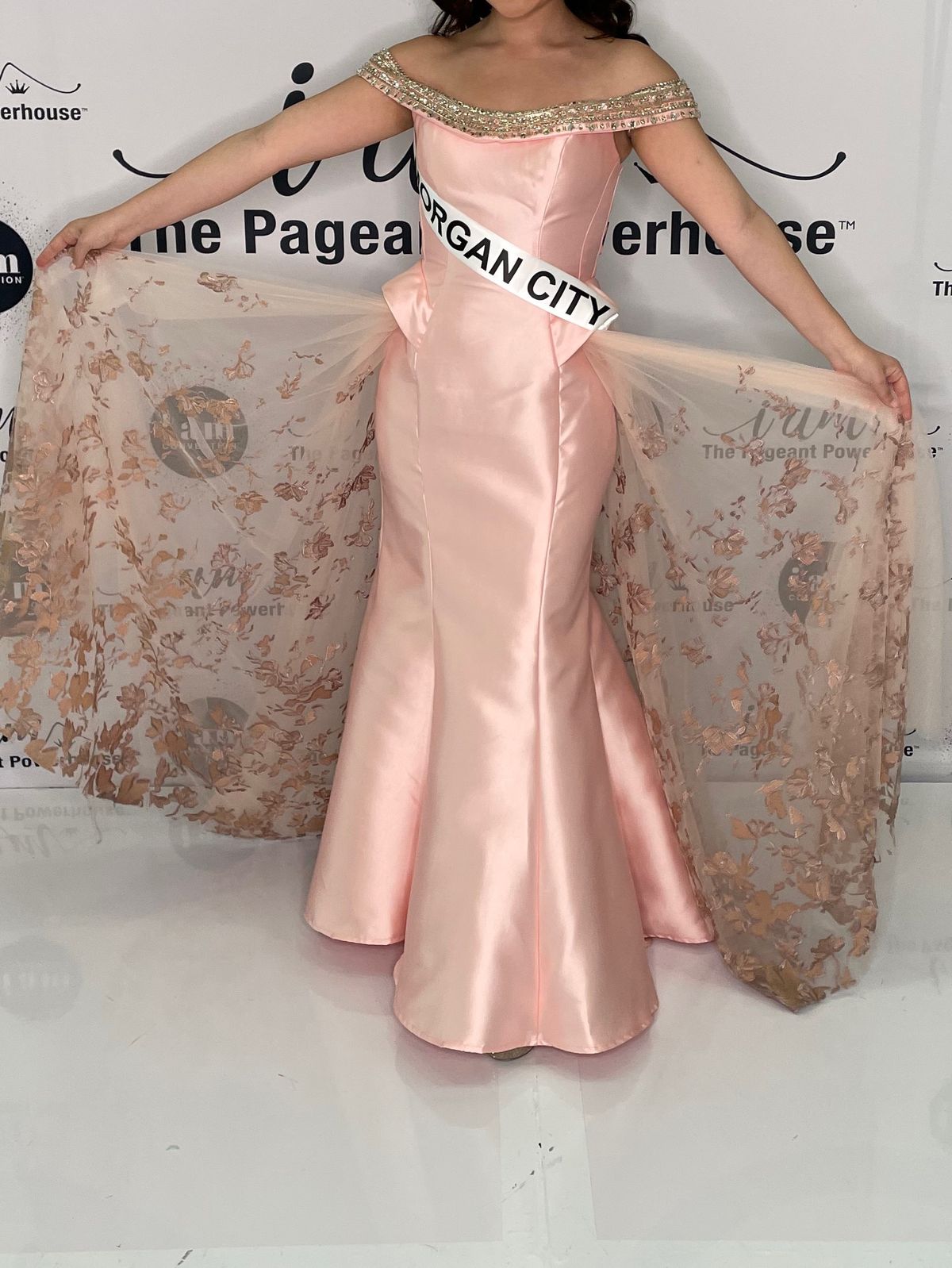 karishma creations Size 6 Prom Off The Shoulder Lace Light Pink Ball Gown on Queenly