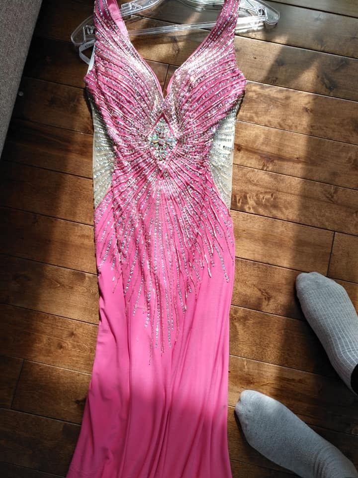 Size 4 Pink Dress With Train on Queenly