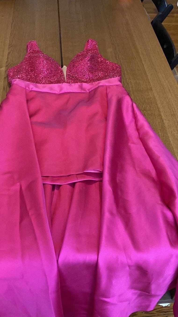 Alyce Paris Plus Size 16 Pageant Plunge Pink Dress With Train on Queenly