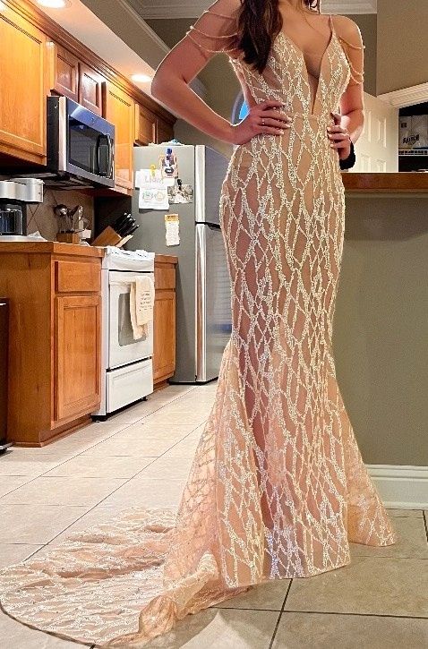 Jared Bermudez Size 2 Prom Plunge Sequined Nude Mermaid Dress on Queenly