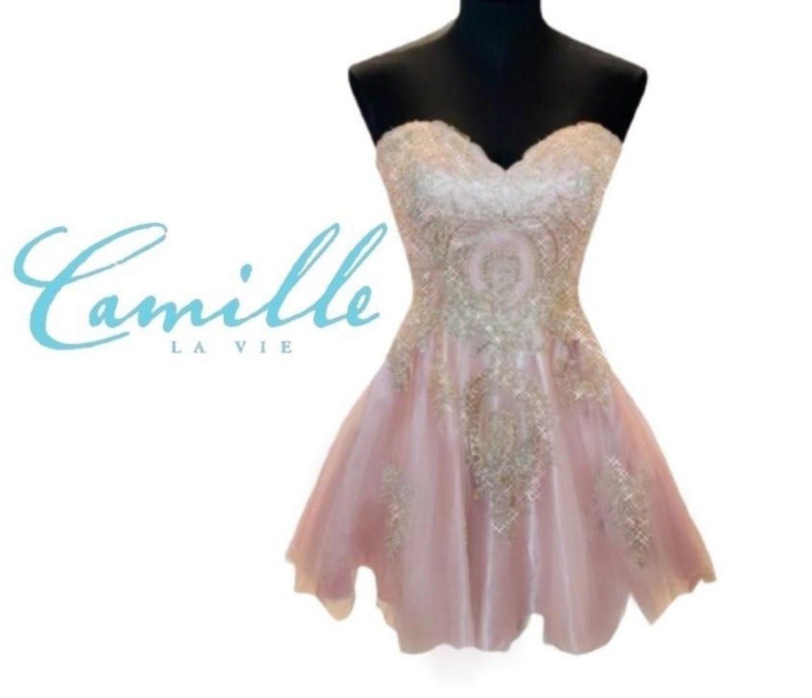 Camille La Vie Size 0 Strapless Pink Ball Gown on Queenly