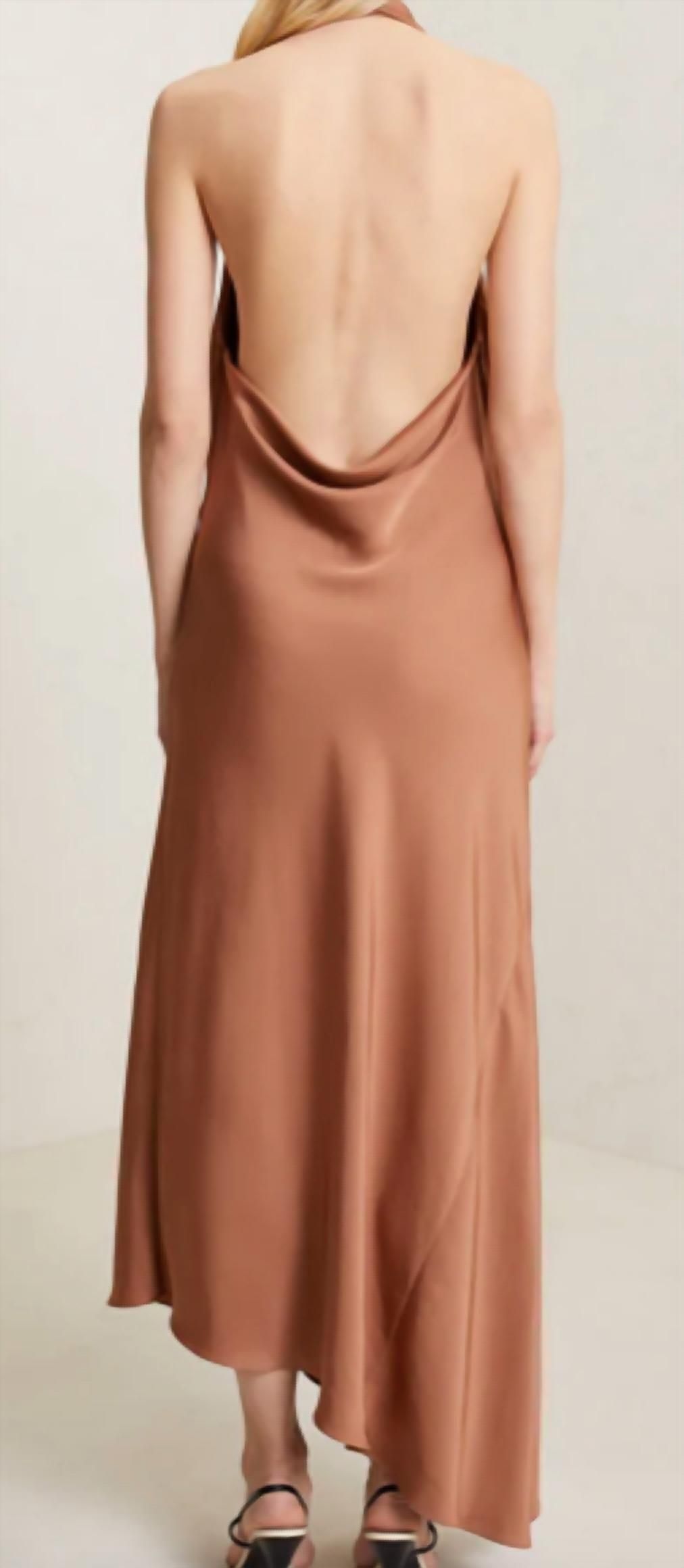 Style 1-615889027-1901 A.L.C. Size 6 Halter Brown Floor Length Maxi on Queenly