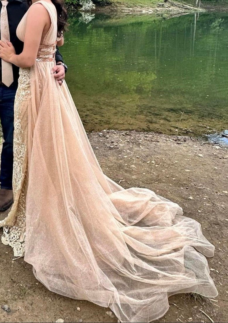 Size 6 Prom Plunge Nude Dress With Train on Queenly