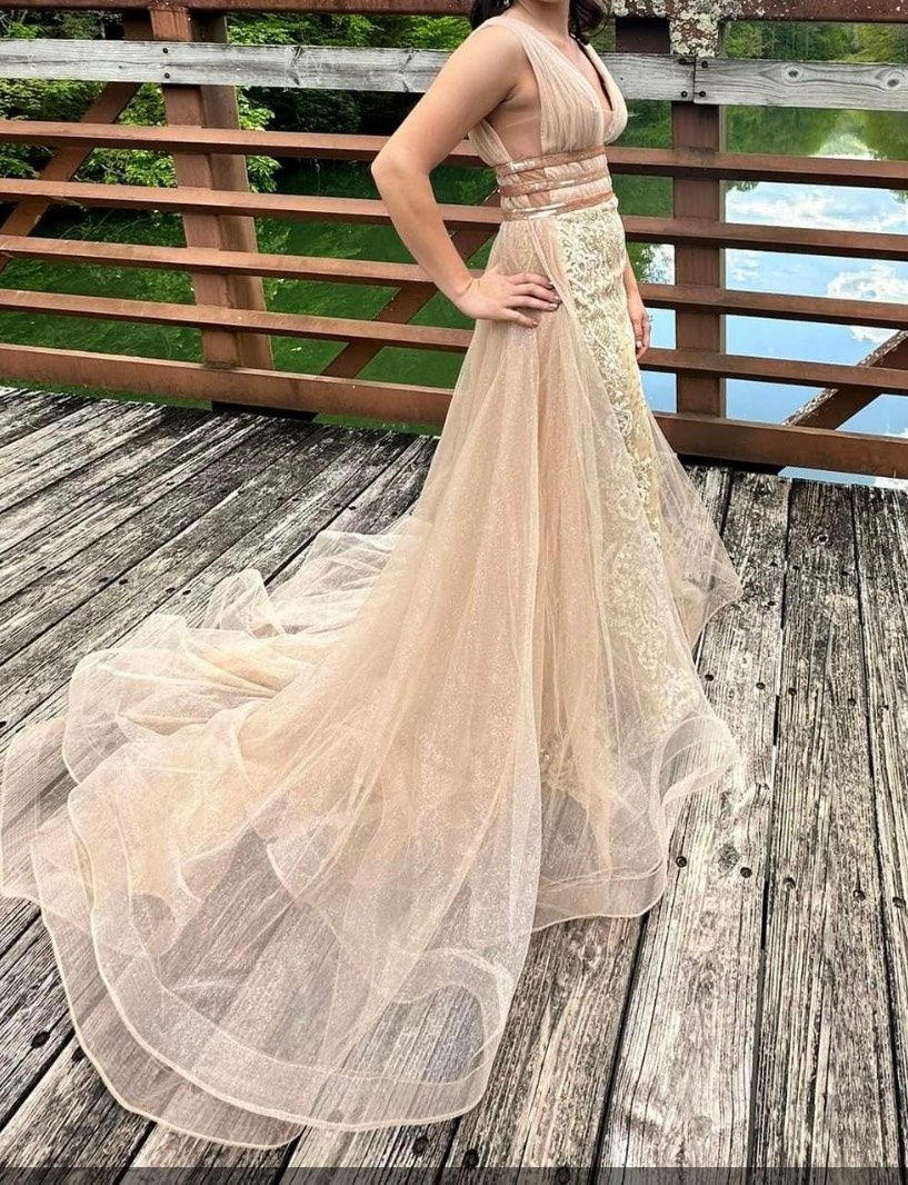 Size 6 Prom Plunge Nude Dress With Train on Queenly