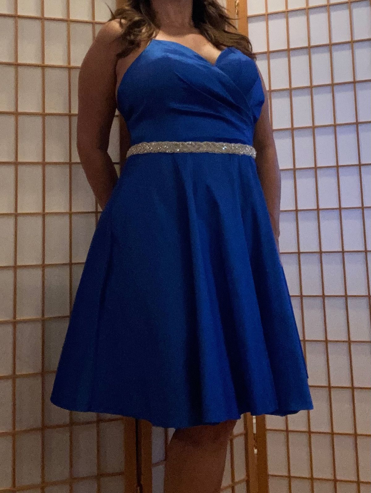 Blush Prom Size 14 Prom Plunge Royal Blue Cocktail Dress on Queenly