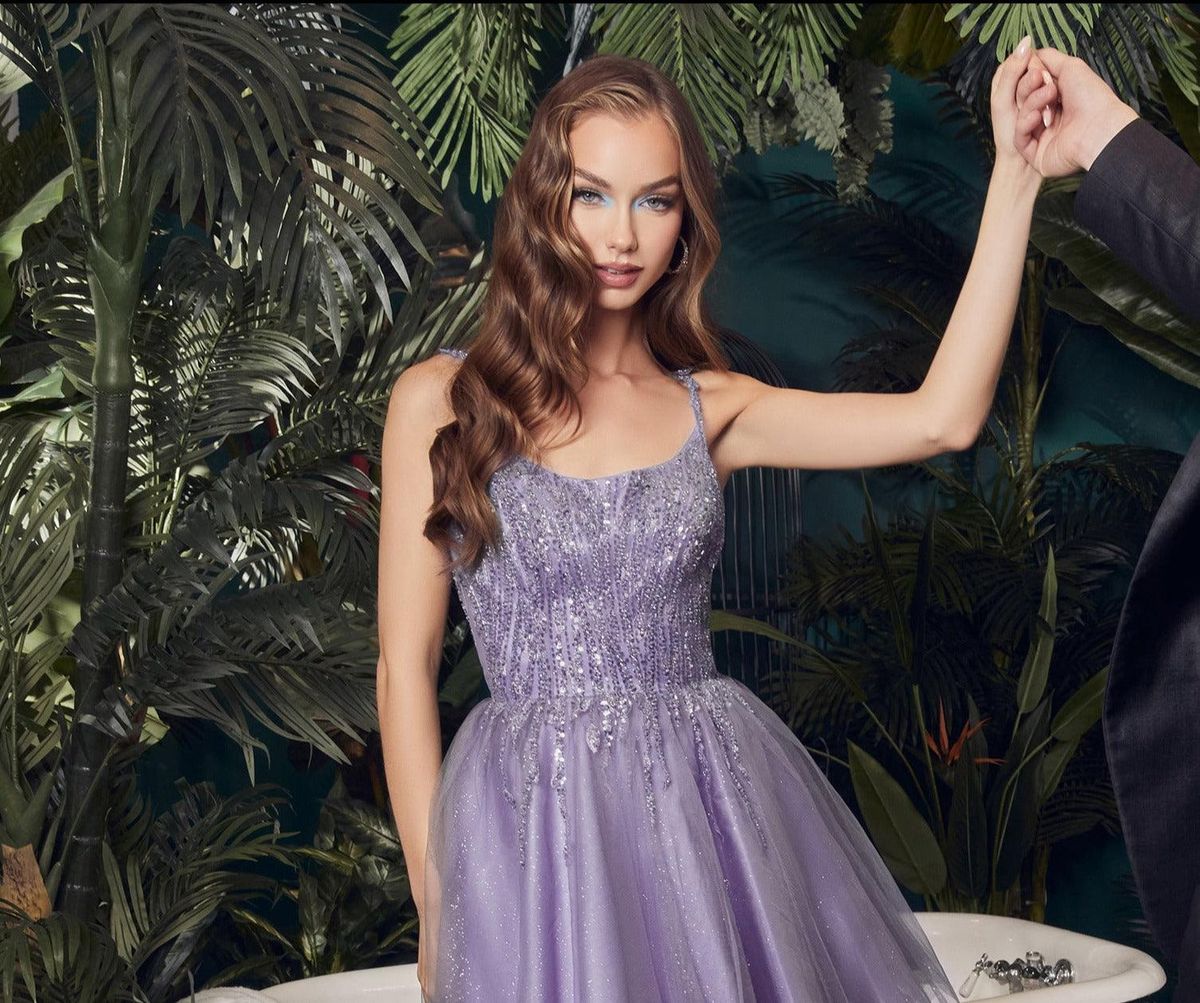 Style CD0212 Cinderella Divine Size 2XL Prom Sheer Purple Cocktail Dress on Queenly