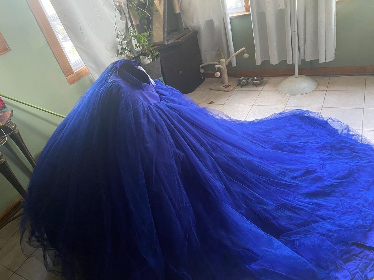 Ragazza Size S Prom Strapless Royal Blue Dress With Train on Queenly