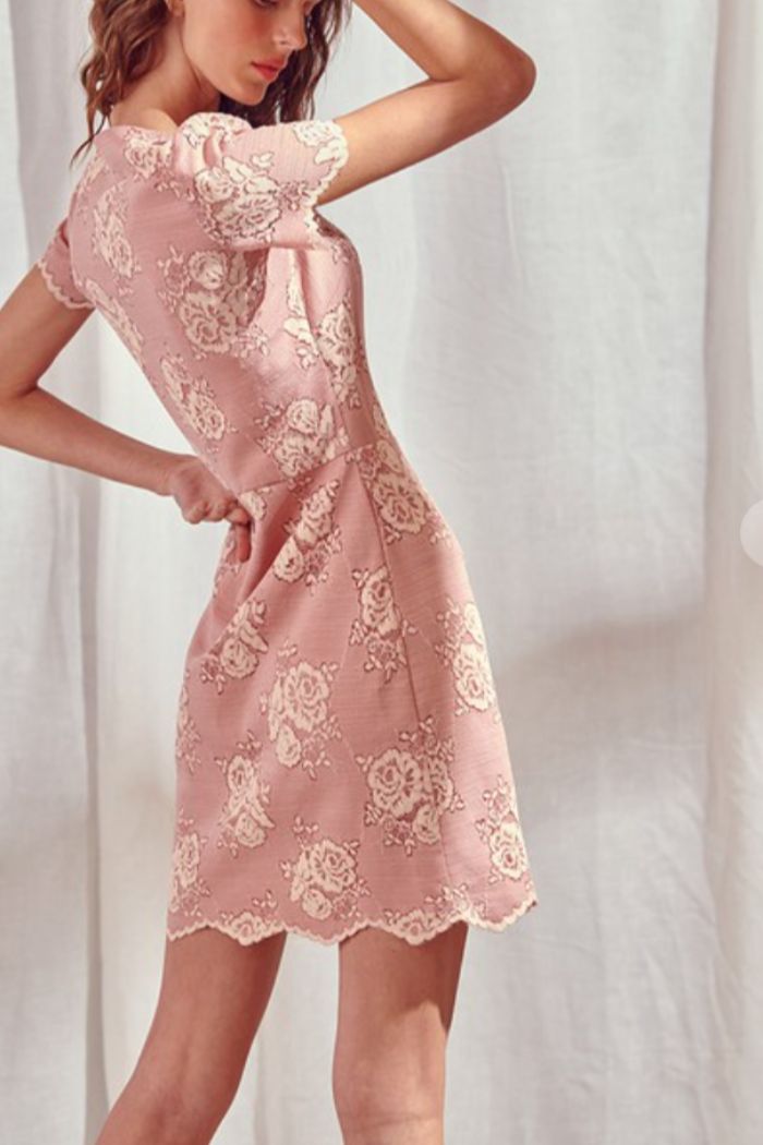 Style SD1438J Storia Size 2 Homecoming Plunge Lace Light Pink Cocktail Dress on Queenly