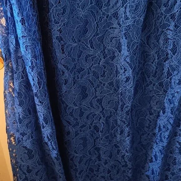 Terani Couture Plus Size 22 Prom Lace Royal Blue A-line Dress on Queenly