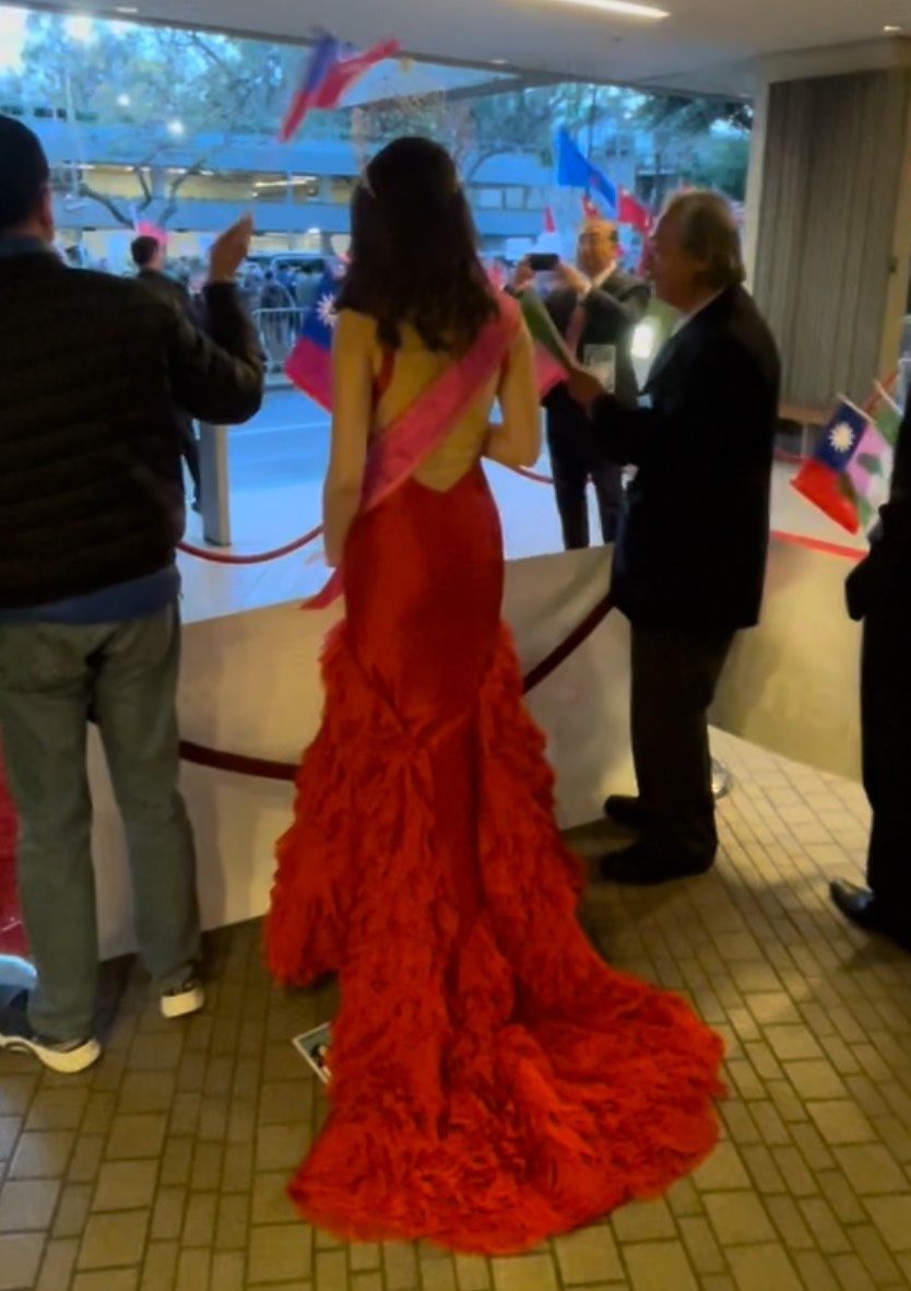 Rachel Allan Size 2 Prom Plunge Red Mermaid Dress on Queenly