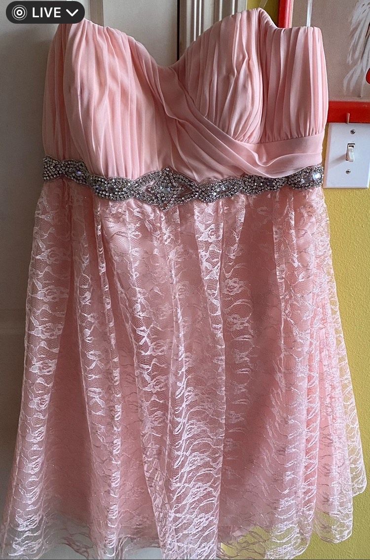 My Michelle Plus Size 20 Strapless Sequined Pink A-line Dress on Queenly