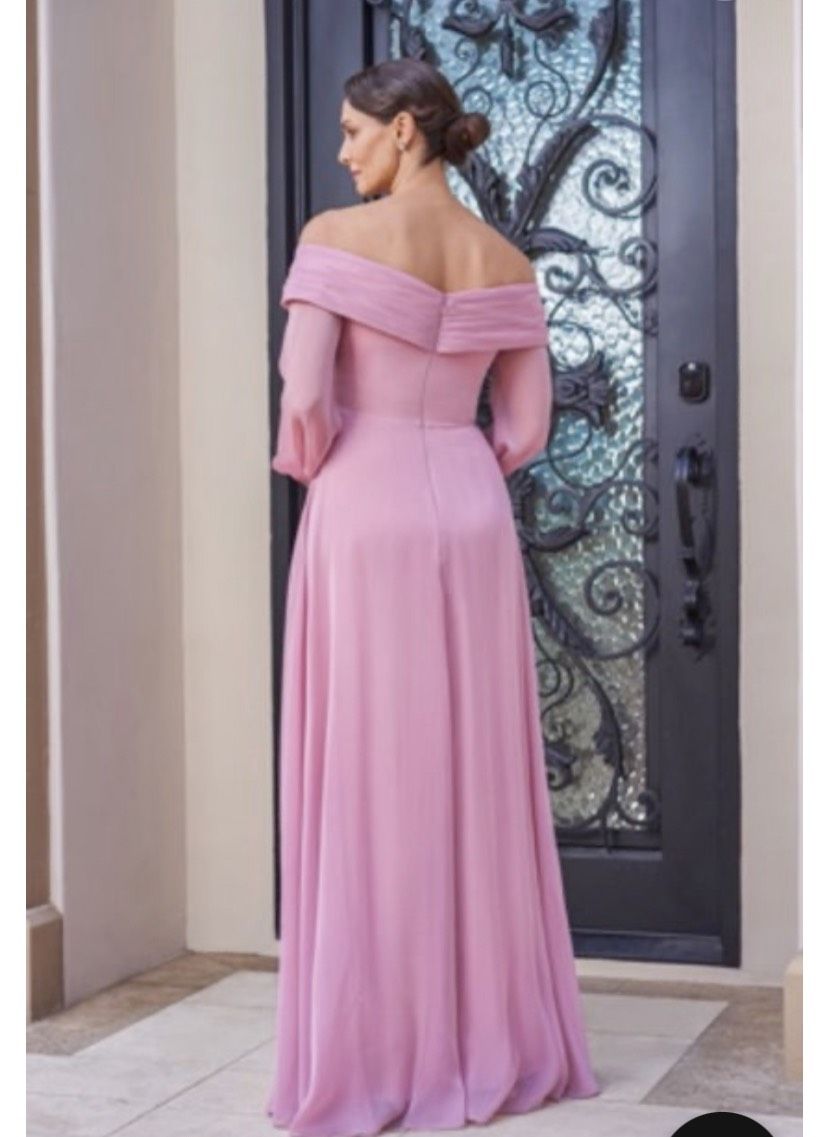Plus Size 22 Prom Long Sleeve Pink A-line Dress on Queenly