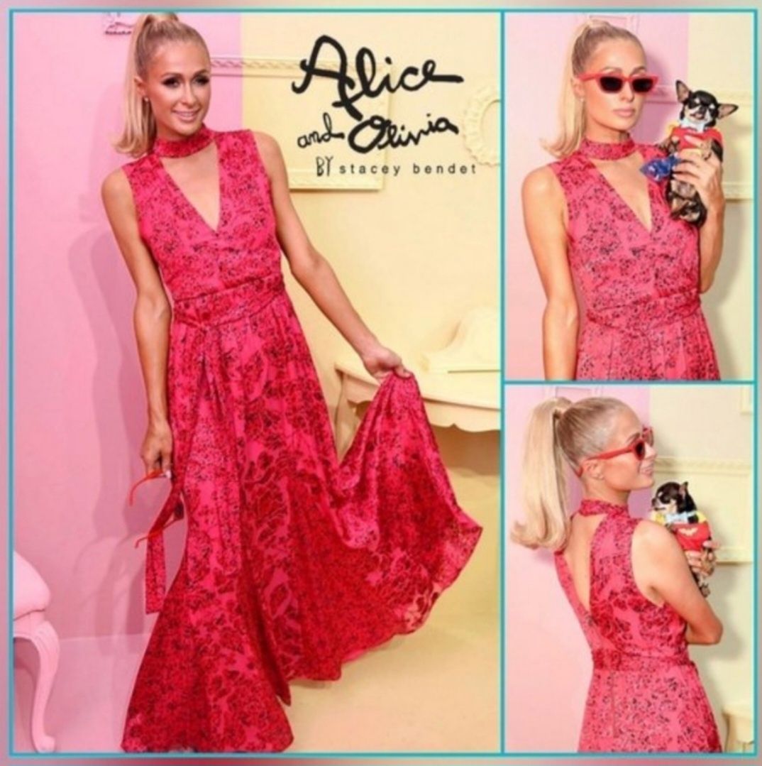 Alice + Olivia Size 4 High Neck Satin Pink Floor Length Maxi on