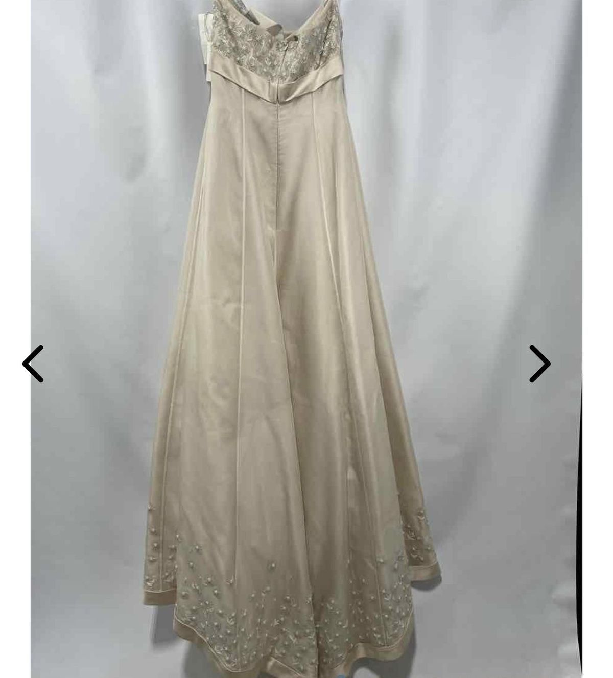 NWT Anne Barge 100% Silk Size 10 Prom Strapless Satin Nude Floor Length Maxi on Queenly