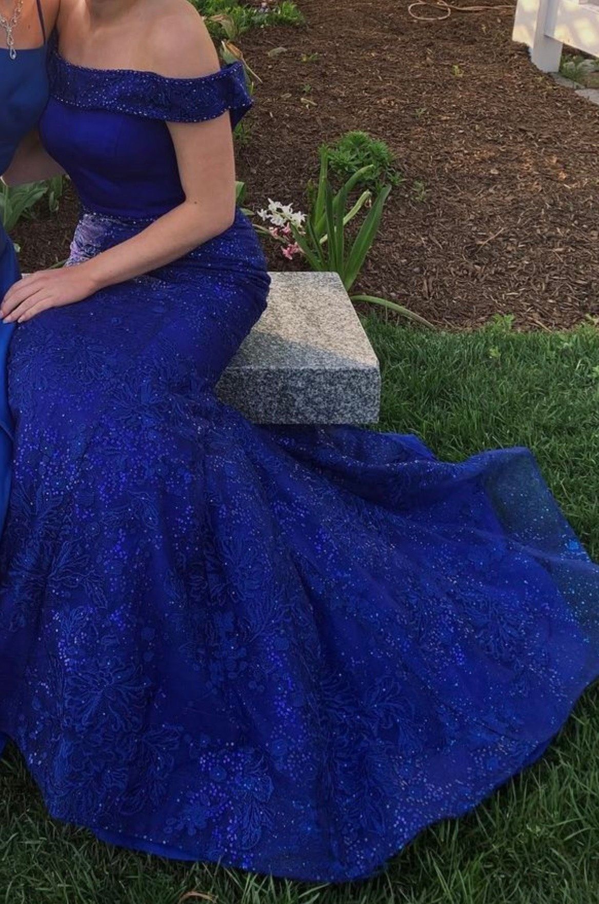 Ellie Wilde Size 2 Prom Lace Royal Blue Mermaid Dress on Queenly