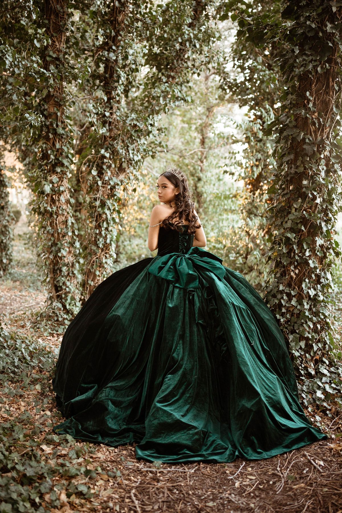 Emerald Green Quince Dress Long Sleeve Princess Ball Gown FD2454 –  Viniodress | Vestidos para quinceaños, Vestidos de novia verdes, Vestidos  de quinceañera