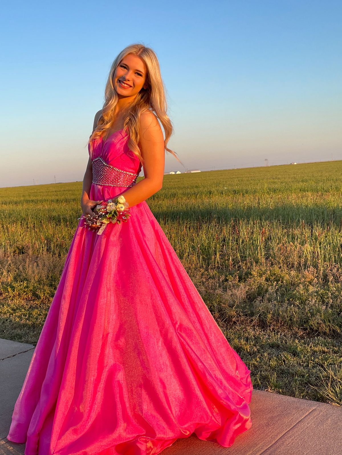 Rachel Allan Size 0 Prom Plunge Pink Ball Gown on Queenly