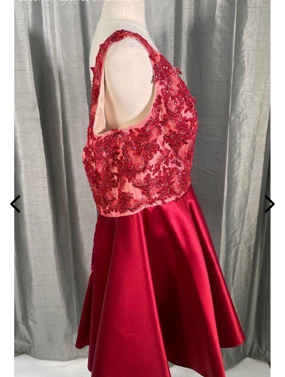 Plus Size 24 Homecoming Plunge Lace Burgundy Red Cocktail Dress on Queenly
