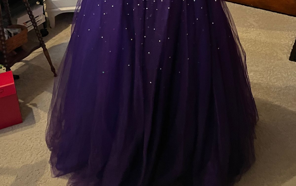 Sherri Hill Size 4 Prom Strapless Purple Ball Gown on Queenly