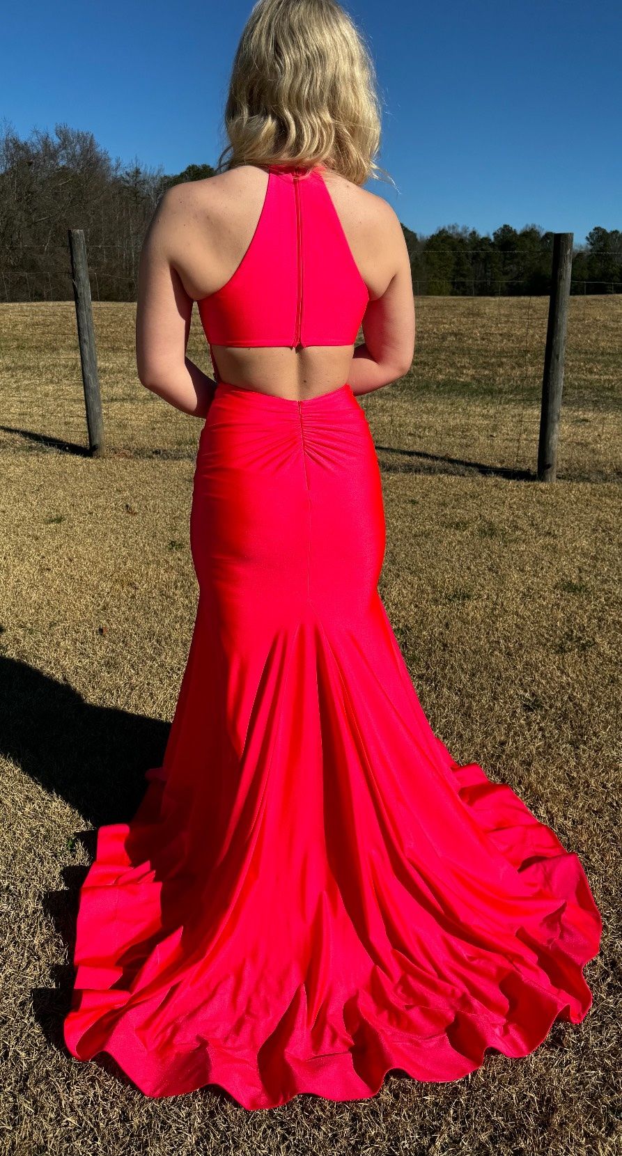 Sherri Hill Size 2 Prom High Neck Red Mermaid Dress on Queenly
