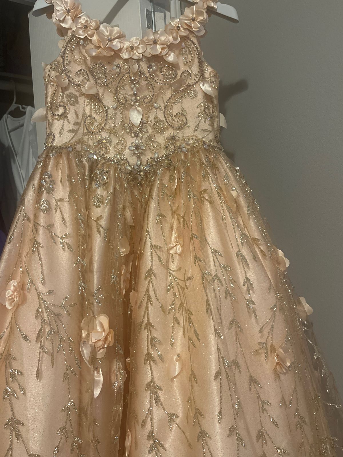 Girls Size 8 Pageant Nude Ball Gown on Queenly