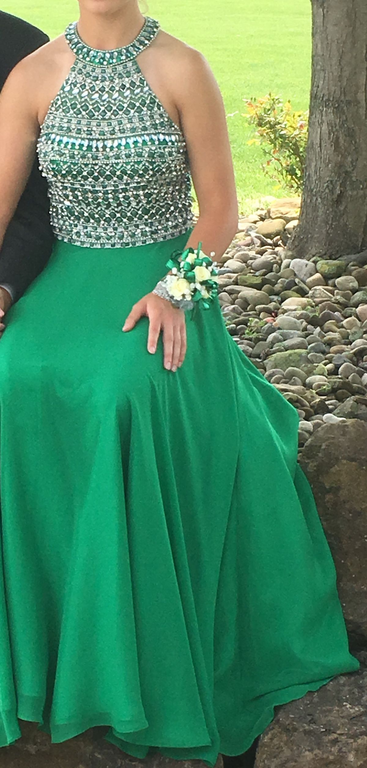 Blush Prom Size 2 Halter Green Ball Gown on Queenly