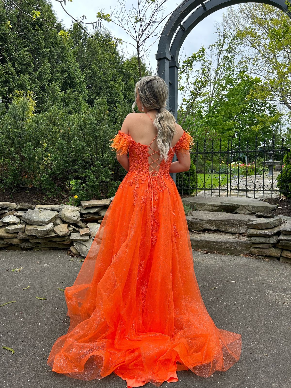 Ellie Wilde Size 4 Plunge Orange Ball Gown on Queenly