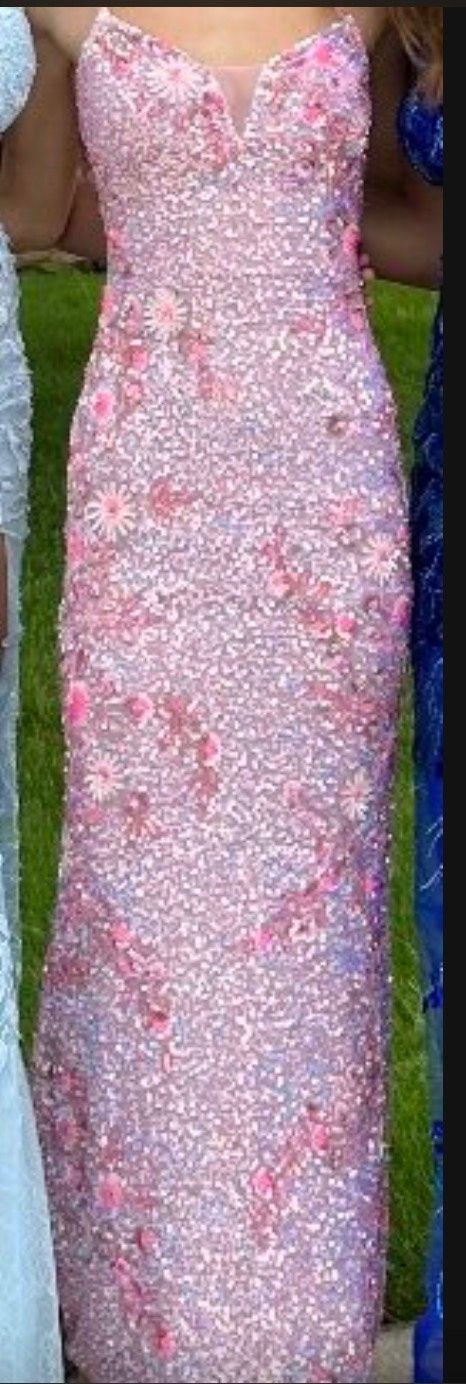 Style 70135 Rachel Allan Size 2 Prom Pink Floor Length Maxi on Queenly