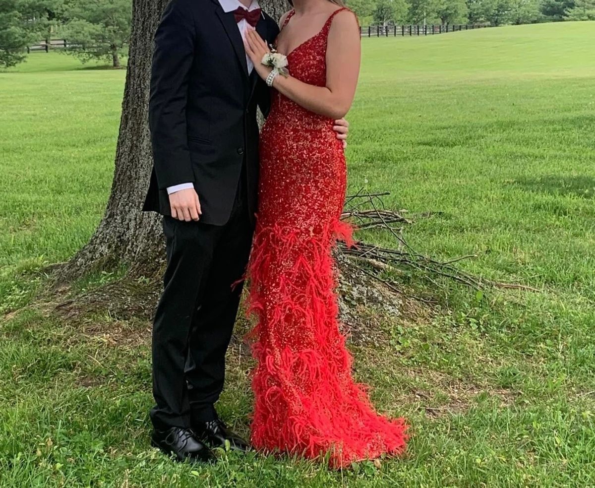 Style 11279 Ashley Lauren Size 4 Prom Plunge Red Floor Length Maxi on Queenly