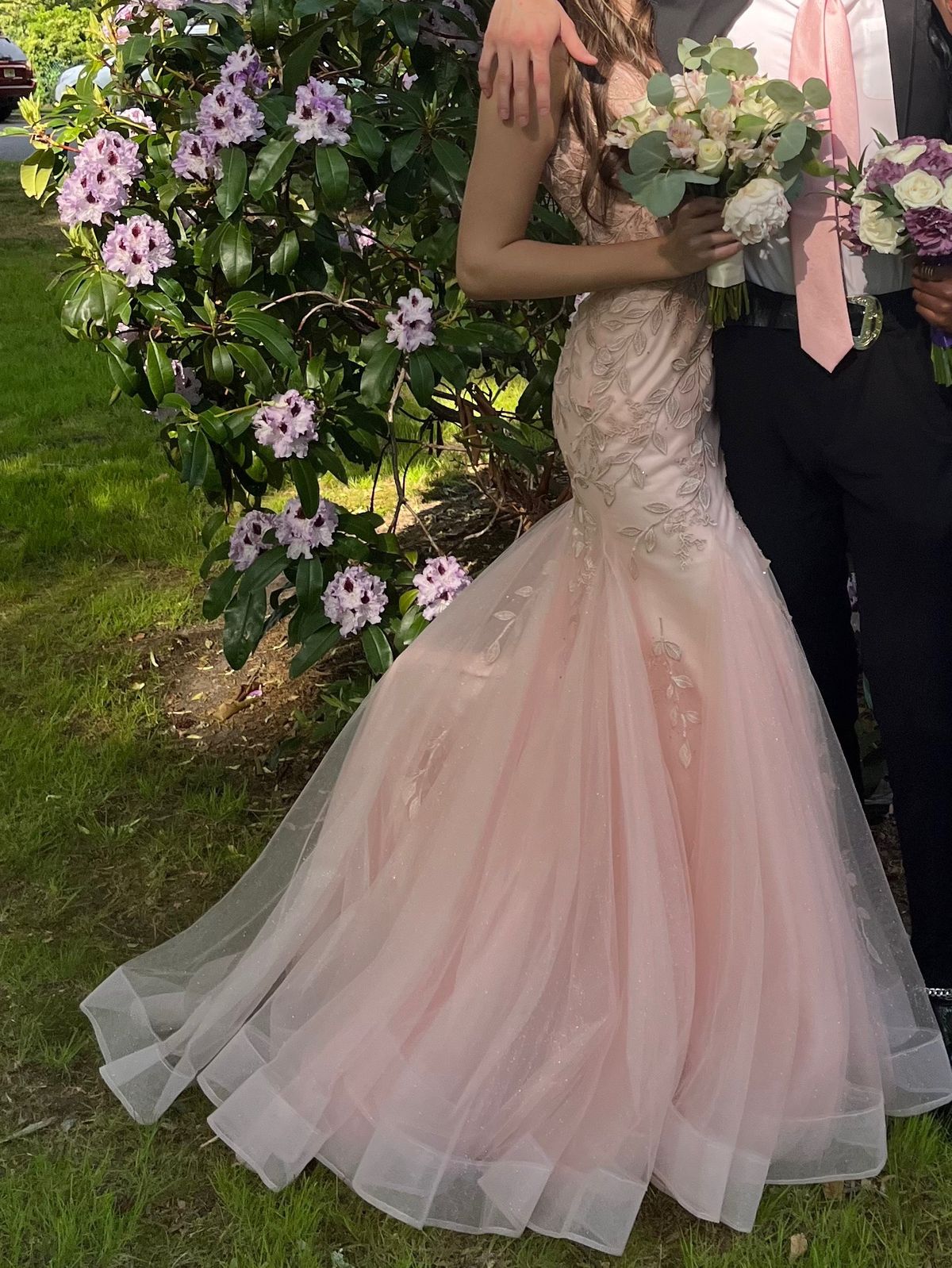 Amarra Size 2 Prom Pink Ball Gown on Queenly