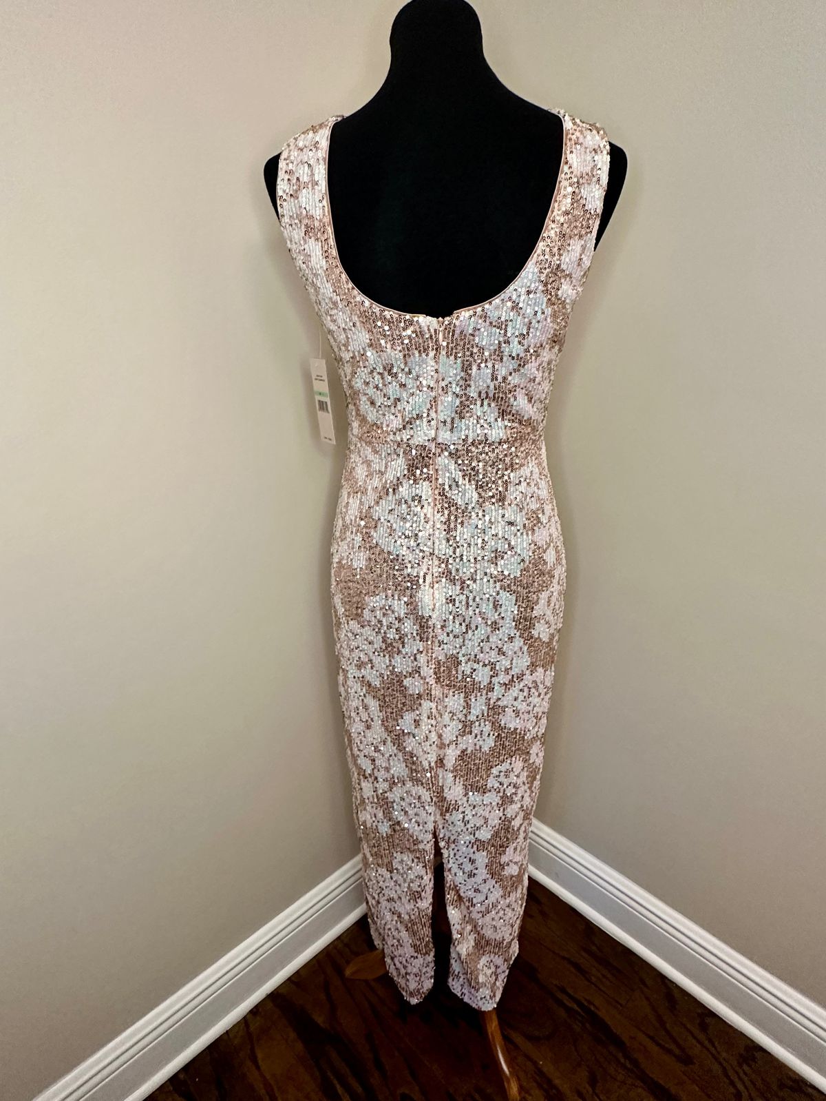 Adrianna Papell Size 8 Prom Nude Floor Length Maxi on Queenly
