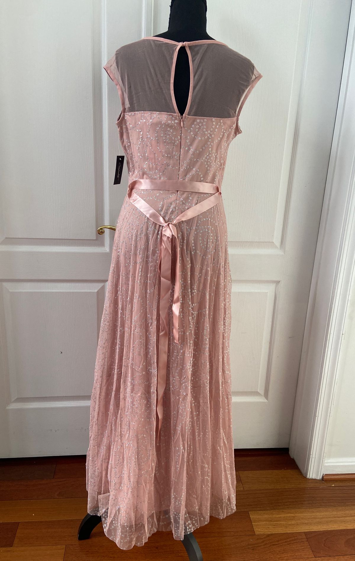 Size M Prom Sheer Light Pink Floor Length Maxi on Queenly