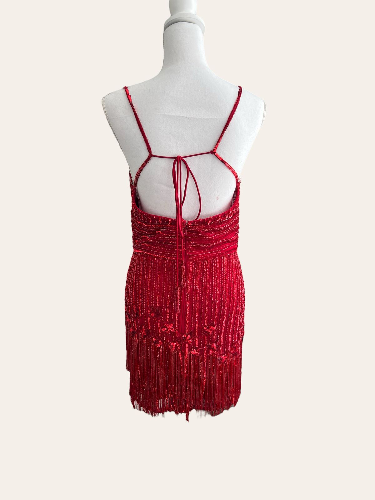 Rachel Allan Size 10 Homecoming Red Cocktail Dress on Queenly