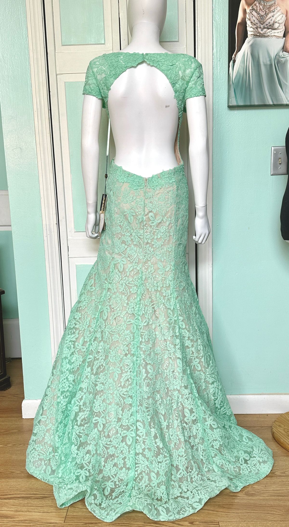 Style RQ7233 Mayqueen Size 12 Prom Cap Sleeve Lace Light Green Mermaid Dress on Queenly