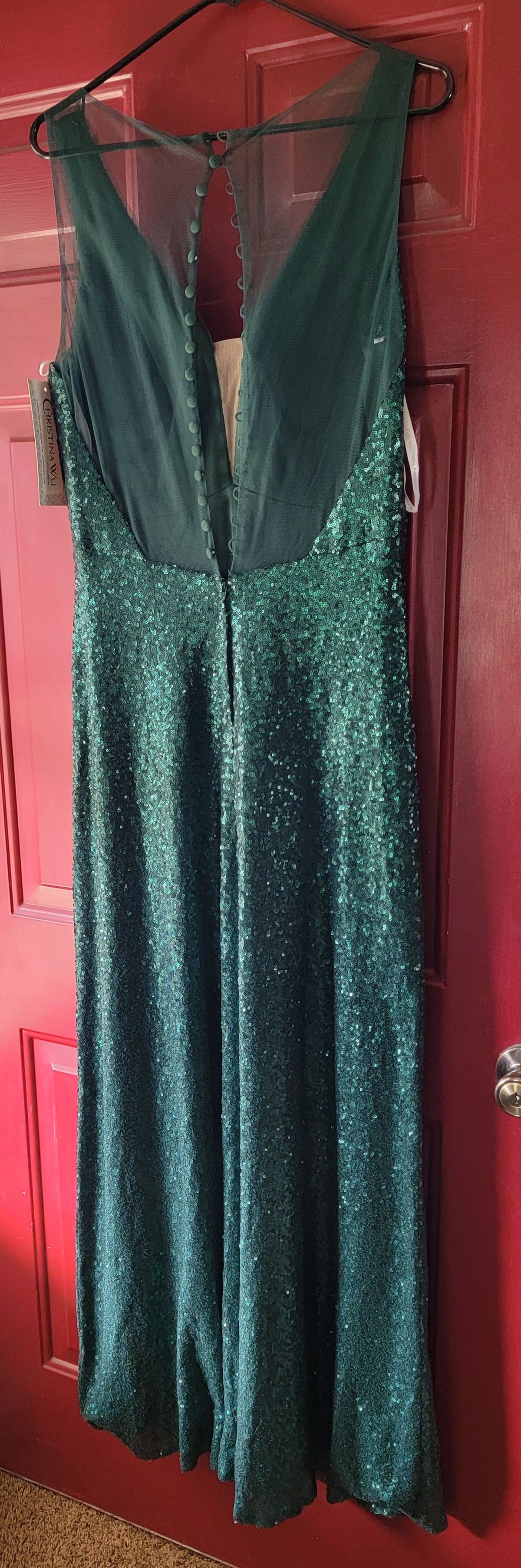 Christina Wu Size 12 Prom Green Dress With Train on Queenly