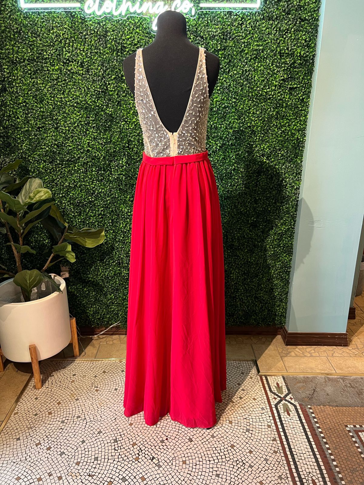 Style w19230 Soieblu Size M Prom Plunge Red Floor Length Maxi on Queenly