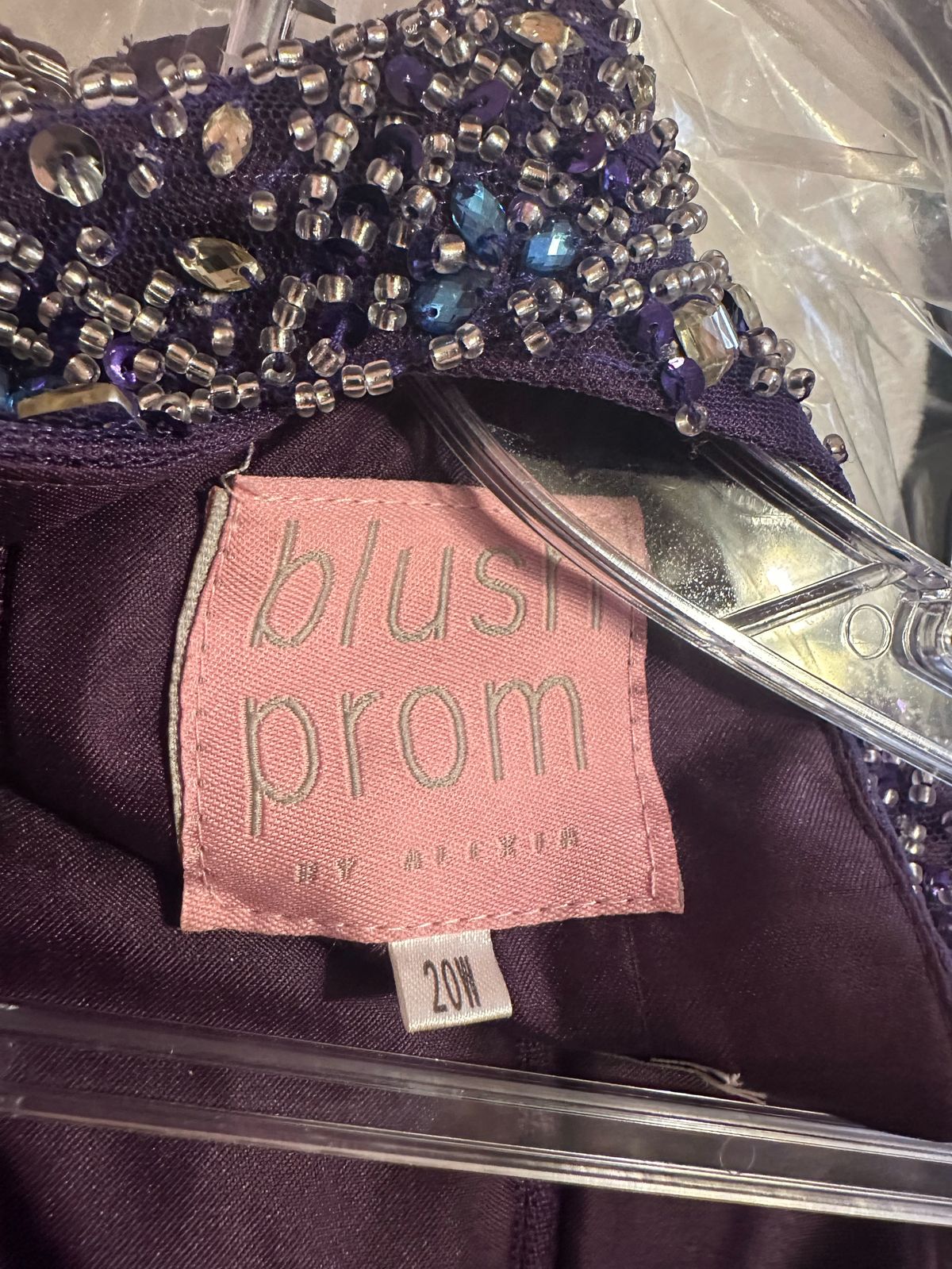 Blush Prom Plus Size 20 Prom Purple A-line Dress on Queenly