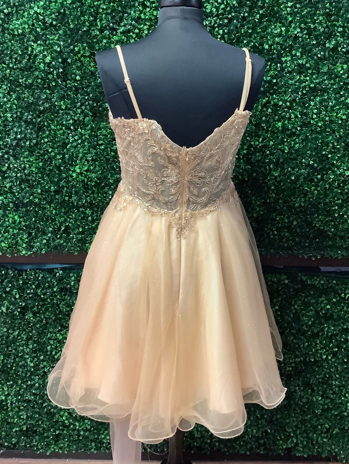 Dancing Queen Size 12 Prom Nude Cocktail Dress on Queenly