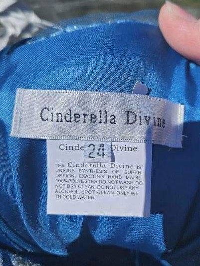 Cinderella Divine Plus Size 24 Prom Plunge Multicolor Floor Length Maxi on Queenly