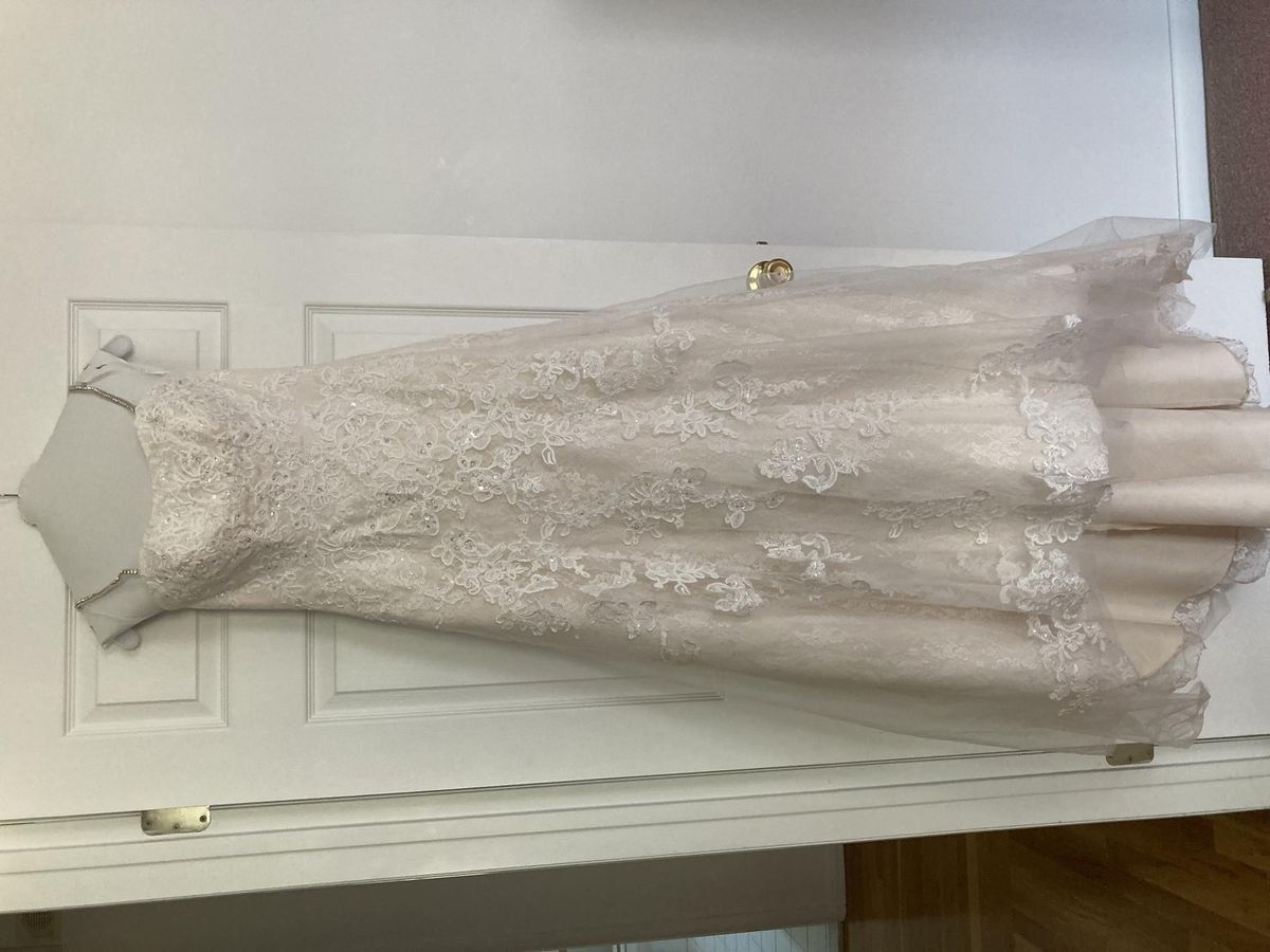 David's Bridal Size 4 Wedding Guest Strapless Lace White Dress With Train on Queenly