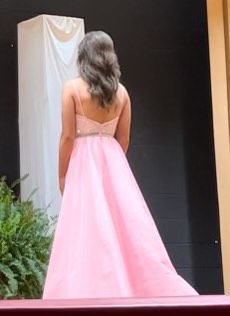 Size 6 Prom Plunge Pink Dress With Train on Queenly