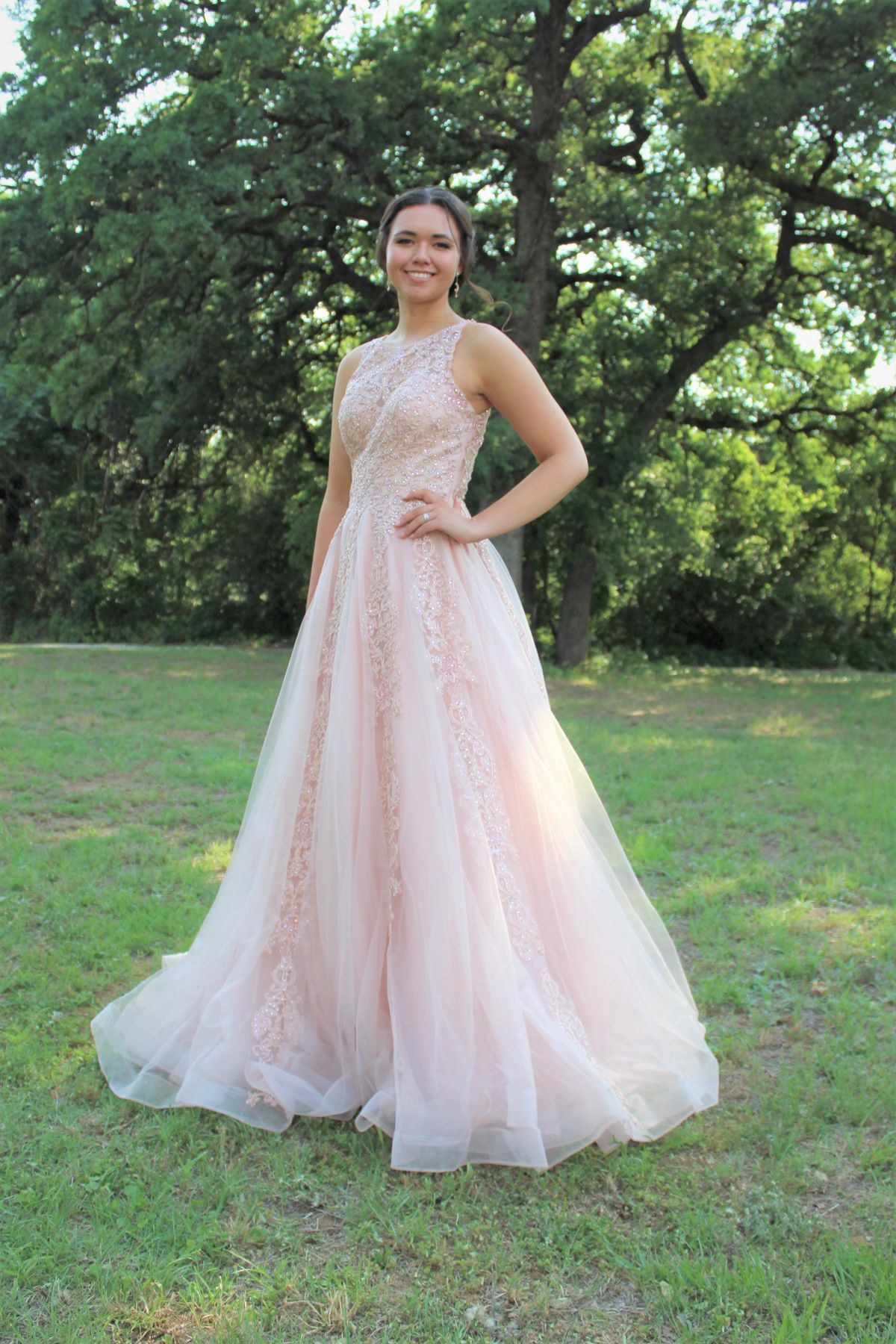 Size 6 Prom Sheer Light Pink Ball Gown on Queenly